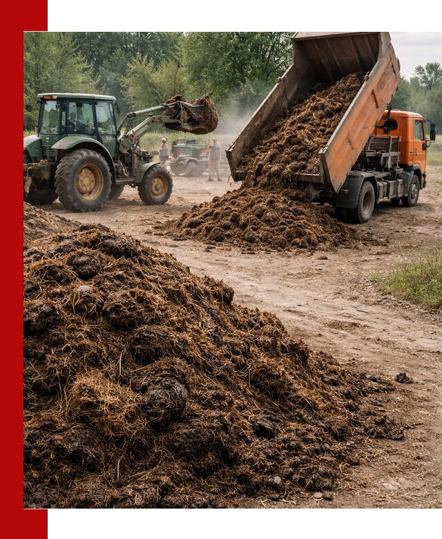 Доставка навоза самосвалами в бору для сельхозпотребностей