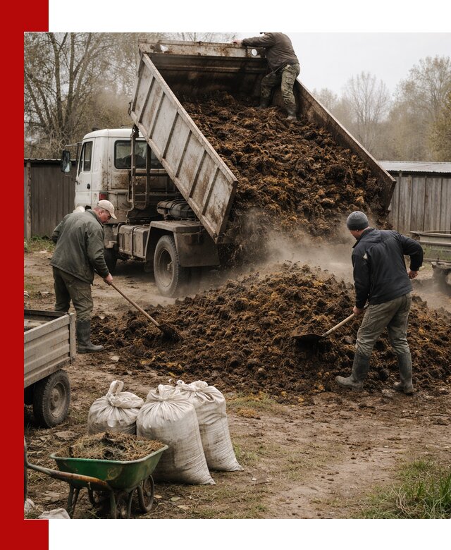 Доставка коровьего навоза самосвалом в бору
